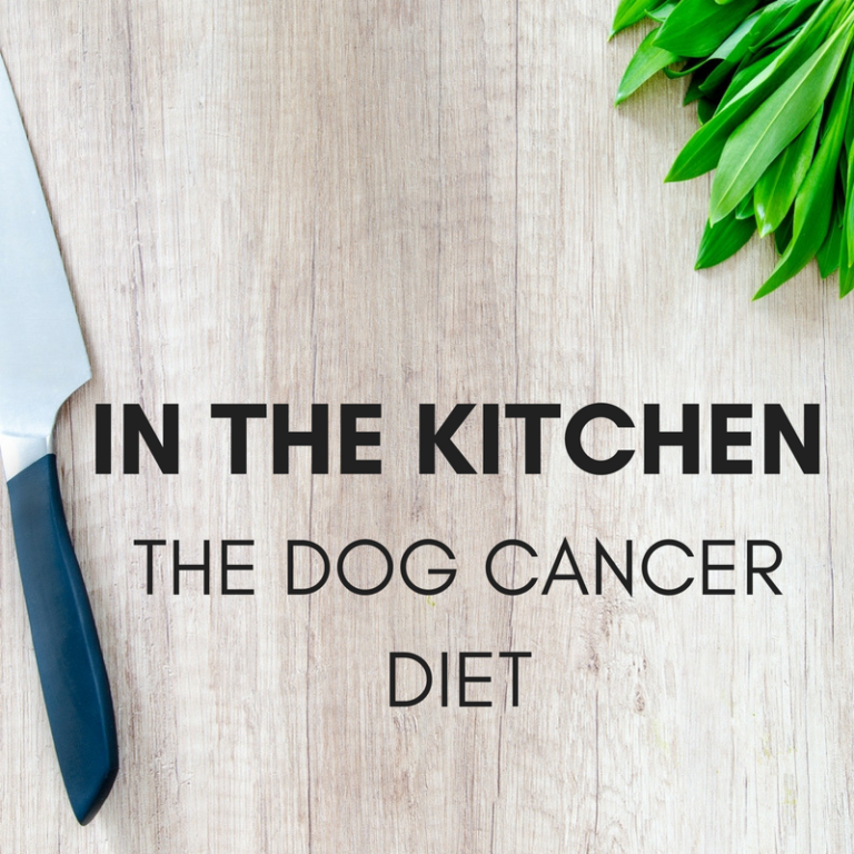 Dog Cancer Diet Dog Cancer Shop