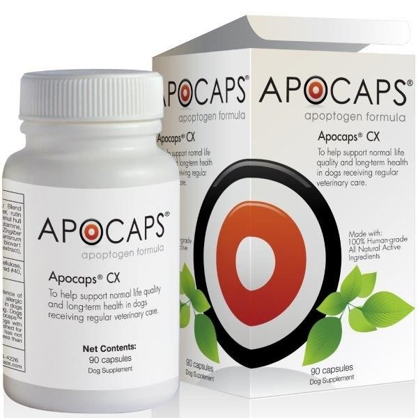 Supplements for Dogs Dog Cancer Shop